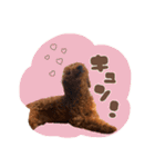 むぎすたんぷⅡ（個別スタンプ：13）