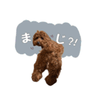 むぎすたんぷⅡ（個別スタンプ：15）