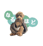 むぎすたんぷⅡ（個別スタンプ：16）