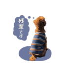 むぎすたんぷⅡ（個別スタンプ：17）