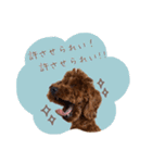 むぎすたんぷⅡ（個別スタンプ：24）