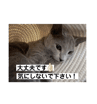 サラちゃん⑤（個別スタンプ：5）