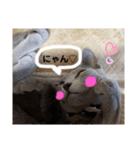 サラちゃん⑤（個別スタンプ：6）