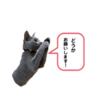 サラちゃん⑤（個別スタンプ：8）