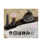 サラちゃん⑤（個別スタンプ：9）