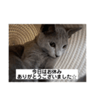 サラちゃん⑤（個別スタンプ：10）