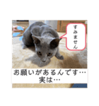 サラちゃん⑤（個別スタンプ：11）