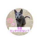 サラちゃん⑤（個別スタンプ：13）