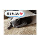 サラちゃん⑤（個別スタンプ：14）