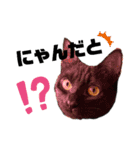 アイラブねこ（個別スタンプ：2）