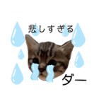 アイラブねこ（個別スタンプ：8）