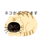 アイラブねこ（個別スタンプ：9）