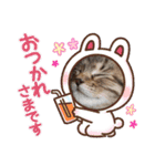 アイラブねこ（個別スタンプ：11）
