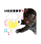 アイラブねこ（個別スタンプ：14）
