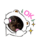 アイラブねこ（個別スタンプ：16）