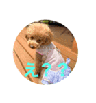 maronの気持ち（個別スタンプ：2）