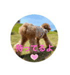 maronの気持ち（個別スタンプ：5）