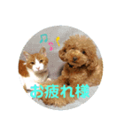 maronの気持ち（個別スタンプ：7）