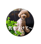 maronの気持ち（個別スタンプ：8）