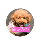 maronの気持ち（個別スタンプ：13）