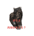うちんちのこどもたち2（個別スタンプ：2）