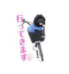 あめこかスタンプ*2（個別スタンプ：12）