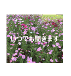 my love ♡（個別スタンプ：7）