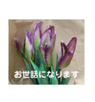 my love ♡（個別スタンプ：17）
