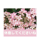 my love ♡（個別スタンプ：20）