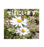 my love ♡（個別スタンプ：22）