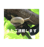 my love ♡（個別スタンプ：23）