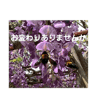 my love ♡（個別スタンプ：25）