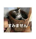 my love ♡（個別スタンプ：28）