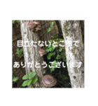 my love ♡（個別スタンプ：32）