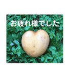 my love ♡（個別スタンプ：33）