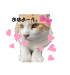 どーぶつとかぞく（個別スタンプ：1）