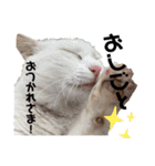 どーぶつとかぞく（個別スタンプ：10）