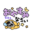 猫こむぎこはく3（個別スタンプ：2）