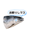 サクラマスタンプ（個別スタンプ：6）