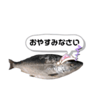 サクラマスタンプ（個別スタンプ：8）