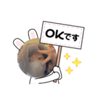 みーちゃん物語（個別スタンプ：3）