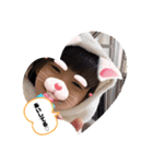 みーちゃん物語（個別スタンプ：12）