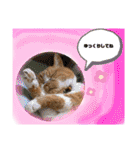 18歳のまんちちゃん。part3（個別スタンプ：28）