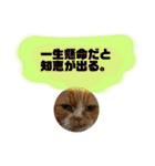 18歳のまんちちゃん。part3（個別スタンプ：30）