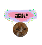 18歳のまんちちゃん。part3（個別スタンプ：32）