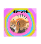 18歳のまんちちゃん。part3（個別スタンプ：39）