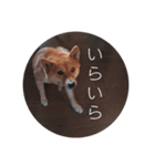 ナナ 2（個別スタンプ：8）
