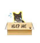 猫YJ専用（個別スタンプ：8）