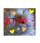 レオとソラのスタンプ（個別スタンプ：1）