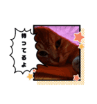 レオとソラのスタンプ（個別スタンプ：8）